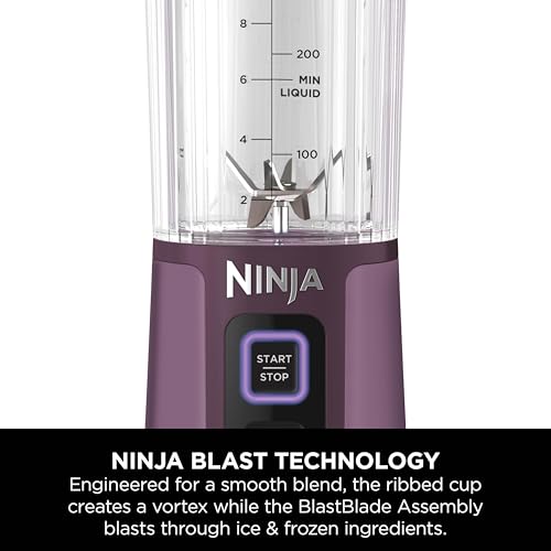 Portable Blender For Ice