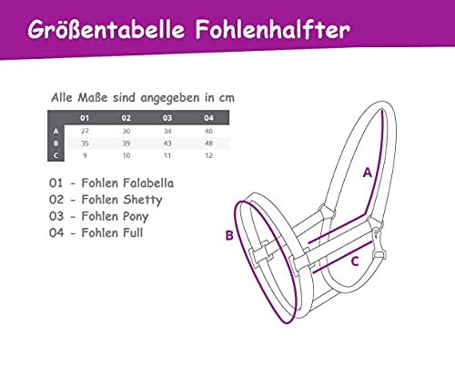 netproshop Voolhalster 3-voudig verstelbare holster voor veulen Falabella Shetty Pony Full, Maat: Veulen Pony, Kleur… - Image 4