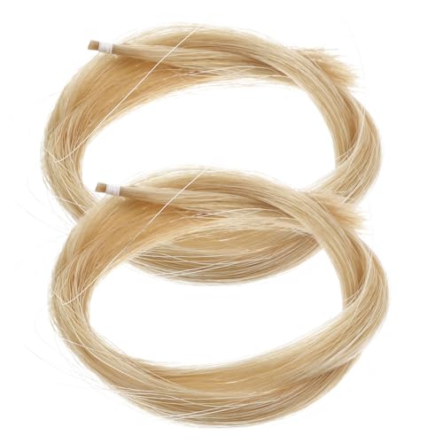 CHICAMPERA �o�C�I�����|�̌����p�n�� �����S���n��2�� �o�C�I���� ��ӗp�|�� �w�Z��ƒ���K�����y��A�N�Z�T���[