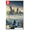 Video Game for Switch Hogwarts Legacy: The Legacy of Hogwarts