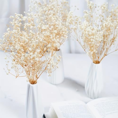 Flores Secas Baby Breath Beige 70g Decoración y Manualidades miniatura 2