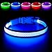 HiGuard LED Dog Collar, USB Rechargeable Glowing Pet Collar Night Safety LED Light Up with Nylon Webbing Perfect for Small, Medium, Large Dogs (Large Collar[18"-24" inch / 45.7-61cm], Royal Blue)