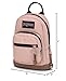 JanSport Right Pack Mini Backpack - Misty Rose