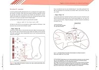 Bible de la préparation physique (La) [nouvelle édition] 2851809741 Book Cover