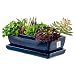 Produktbild botle Blumentopf Blumenübertopf Dunkelblau Kaktenschale mit Untersetzer Rechteck LxBxH 15 cm x 29 cm x 9 cm Oberfläche Glanz Kakten Keramik Modern Glamour