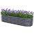Nossta Raised Garden Bed Kit,Metal Planter Boxes Outdoor for Vegetables, Oval Large Bottomless Planter Raised Beds Kit with Safety Edging for Gardening Herb Fruits and Flowers