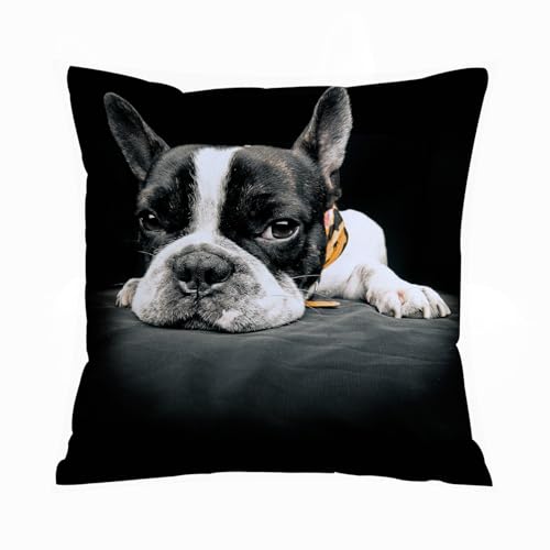 ERRTU Housse de Coussin 45x45 cm,Gros Plan d'un Bouledogue français,Housse Coussin Exterieur,Motif Décoratif Taie d'oreiller,Coussin Decoratif Canape