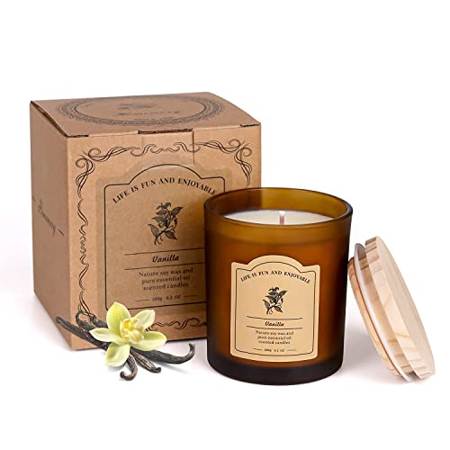 Vanilla Scented Candles For Home, All Natural Soy Wax Candles With Essential Oils, Highly Scented Beeswax Candles, Aromatherapy Candles For Sleep Aid, 9.2Oz, Clean Burning(Vanilla, Coconut) #TOP6