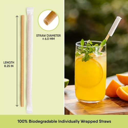 Image of The Veggie Straws - 100 PCS of 8.25 Inches Individually Wrapped Biodegradable Straws - Made of Vegetable Fibers, Best Environment Friendly Drinking Straws for Hot and Cold Beverages