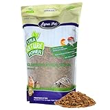 Lyra Pet® | 5 kg Soldatenfliegenlarven getrocknet | Black Soldier Fly | Hermetia Illucens | Wie Mehlwürmer | Reich an Kalzium & Proteinen | Energiereiches Futter für Vögel, Fische, Nager & Reptilien