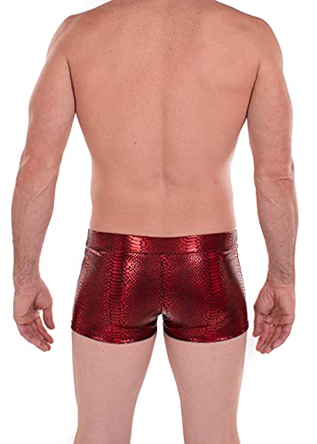 / Funstigators Festival Clothing: Men's Holographic Brief Booty Shorts with Front Pouch - Made in USA3