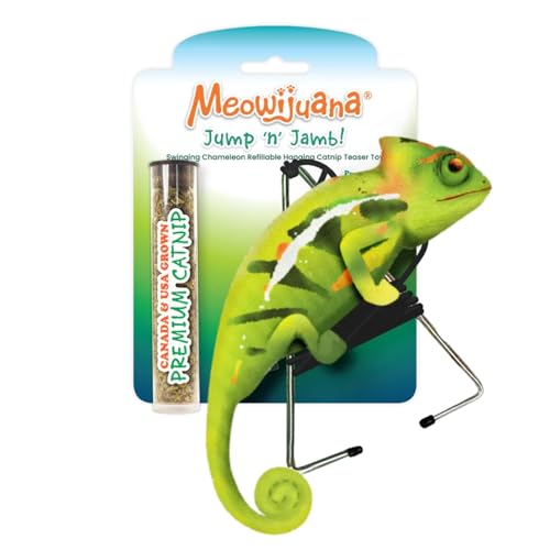 Meowijuana Jump 'n' Jamb Door Hanging Cat Toy | Chameleon