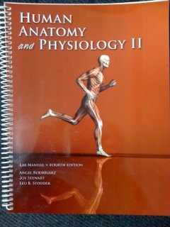 Spiral-bound Human Anatomy and Physiology II Lab Manual (4th Edition) Broward College Book