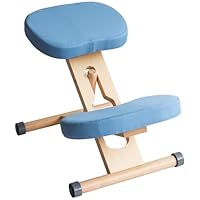 Amazon.co.jp: 宮武製作所 プロポーションチェア 幅48.5×奥行61