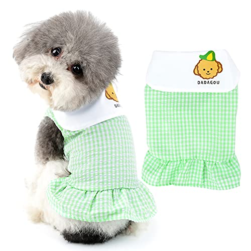 Robe d'été pour chihuahua et yorkshire avec gilet respirant anti-frottement