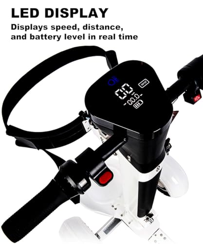 AESWGOF Smart Display Golf Scooter