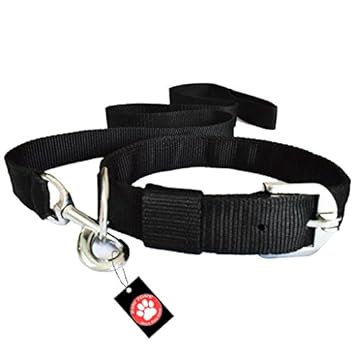 Pawzone Black Leash with Collar Set for Dogs -Large