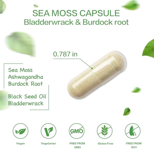 VPKIN Organic Sea Moss Capsules with Bladderwrack & Burdock (120 ct) — view 2