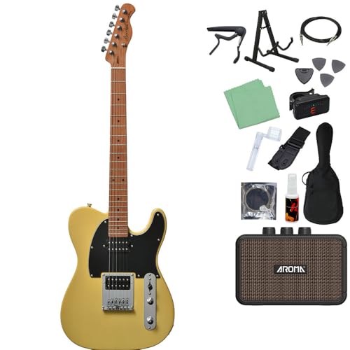 Bacchus BTE-3-RSM/M エレキギター初心者14点セット 【充電式ミニアンプ付き】 BBD テレキャスタイプ ローステッドメイプルネック バッカス