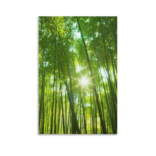 緑の風景 目の健康を護る竹のポスター (30) ウォールアート 部屋飾り 絵画 ベッドルーム リビング 壁の絵20x30inch(50x75cm)