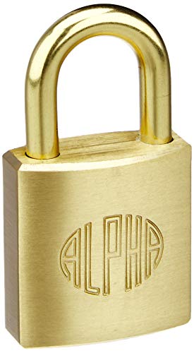 ALPHA(At@) 싞 NO.1000-20