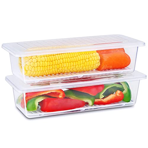 Fruit Containers for Fridge - 2 packs Food Storage Containers with Removable Draining board Keep Fruits, Vegetables, Meat, Berry etc Fresh longer.