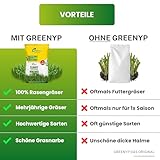 Zoom IMG-2 greenyp sunny i erba secca