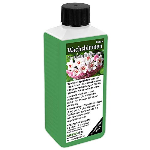 GREEN24 Hoya Dünger Wachsblumen düngen Flüssigdünger HIGHTECH