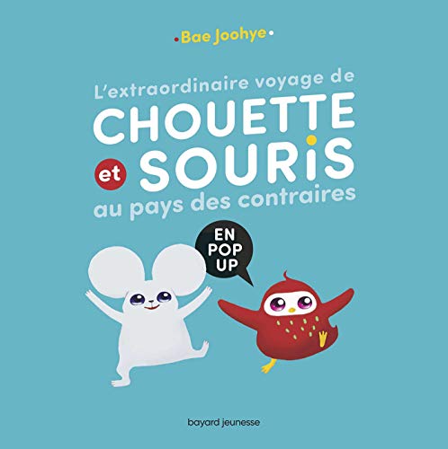 L'extraordinaire voyage de Chouette et Souris au pays des contraires: en pop-up