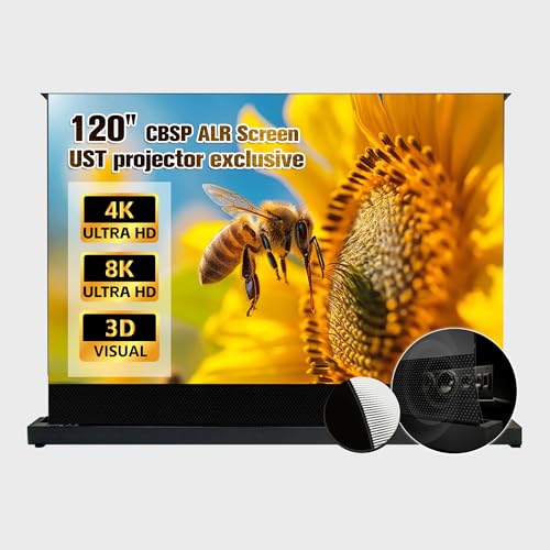 92-150 Inch Motorized Tension ALR Floor Screen