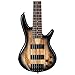 Ibanez GSR206SMNGT - Spalted Maple Top Natural Grey Burst
