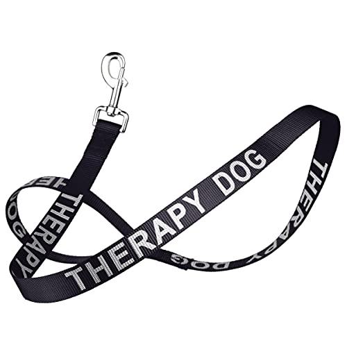 Dogline Black Nylon Leash with Reflective Letters, 1