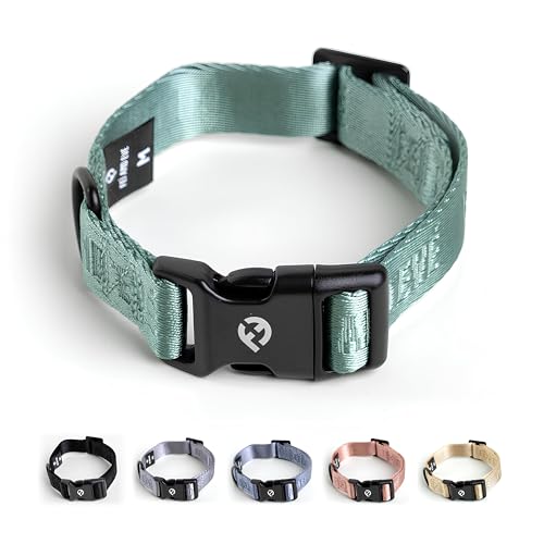 2026 New Edition, Fei & Eve Classic Dog Collar - Quick Release Metal Buckles | Fur-Safe | Premium 210D Nylon | 450LB Escape-Proof | Adjustable Fit | Medium (Glacier Green)