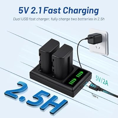 Tectra 2 Pack NP-FM500H NPFM500H Battery and LED Dual Charger for Sony Alpha SLT A58 A57 A65 A77 A99 A77V A77II A350 A450 A500 A550 A700 A850 A900 Alpha a99 II CLM-V55 DSLR Camera