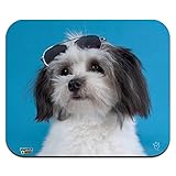 Einzigartige fantastische Muster, lebendige Farben, beste Geschenkidee.