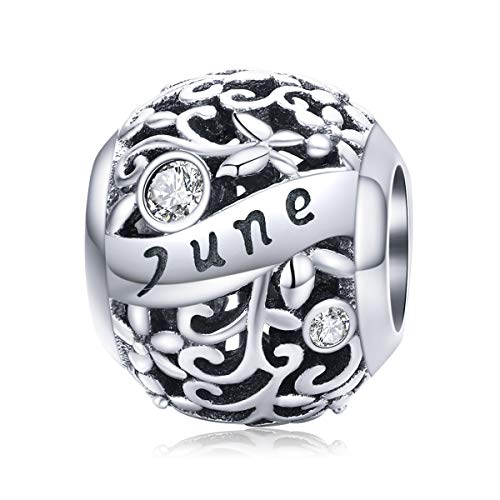 Birthstone Charm 925 Sterling Silver Birthday Charm June Charm Love Charm Aniversary Charm for Pandora Charm Bracelet (June)