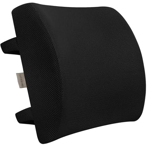 LOVEHOME Lumbar Support Pillow for Chair and Car, Back Support for Office Chair Memory Foam Cushion with Mesh Cover for Back - Black Cover