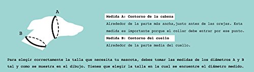 ThePetLover Collare Martingale per Cani, L, Rosso