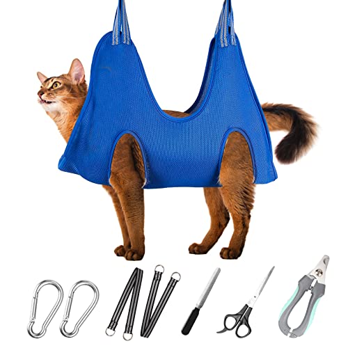 New Releases The bestselling new & future releases in Cat