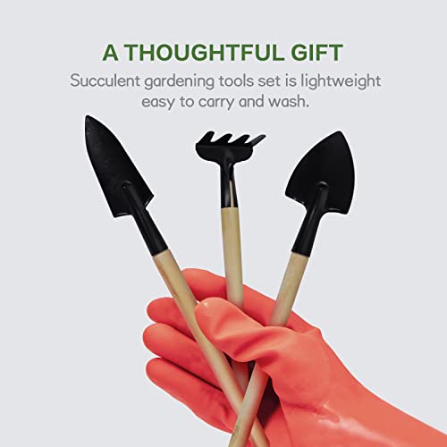 Set Of 3 Pcs Mini Garden Hand Tools Indoor Miniature Planting Gardening Tool Set - Gardening Tool Kit Gift For Kids And Adults #TOP4