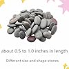 Lifetop 51pcs Tiny Painting Rocks ，DIY Smooth Surface Stones,Arts and Crafts ，0.5 to 1.0 inches ，So Small Rocks,Hand Picked for Painting #1