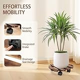 Alitree B0G2M4NMMC lato 3