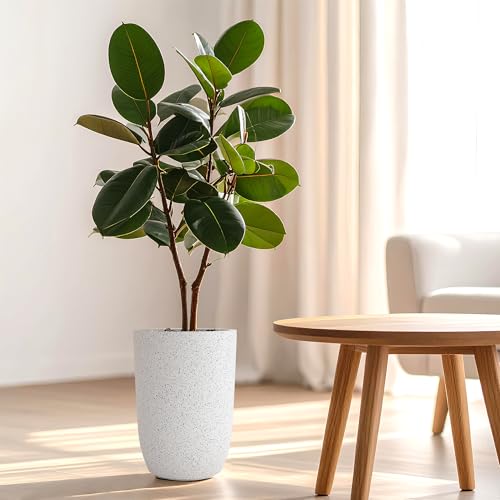 Image of YUCCABE ITALIA FOXB TPC 14 INCH Pots for Plants Highly Durable Polymers Lightweight Indoor Outdoor Plant Pots, Flower Pot Gamla Tree Planter Container Planters for Living Room, Balcony, Garden