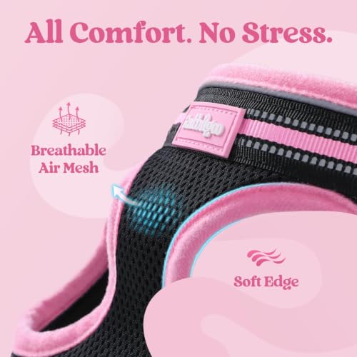 Image of rabbitgoo Cat Harness and Leash Set, Step-in Soft Vest, S, Black & Pink | Escape Proof, Lightweight Air Mesh, Easy-on, Adjustable, Hook & Loop with Buckle, Reflective, for Kittens & Tiny Cats Walks