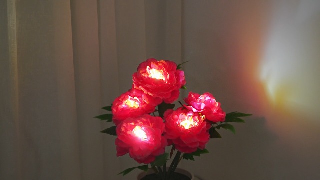 Image of Peony Artificial Flower Lamp, Decorative Night Light for Bedroom Bedroom Wedding Bar Coffee Shop Decor, Christmas Valentines Mothers Day Anniversary Birthday Gifts for Women Mom Grandma Wife Friend