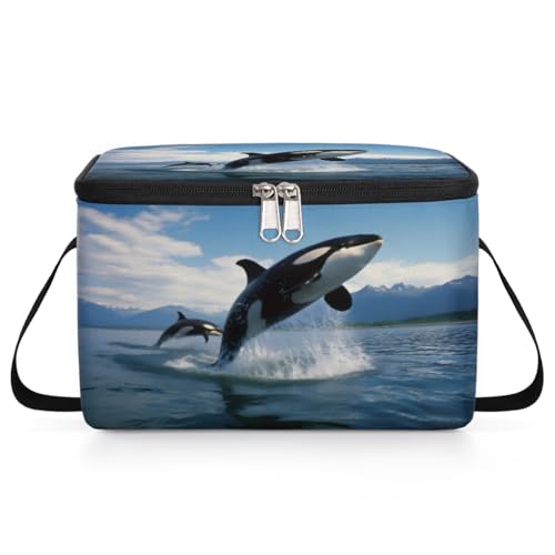 GzLeyigou Ocean Dolphins Lunch Bags for Women Men 9 Cans, Hot & Cold Food Delivery Bag Insulated Grocery Bag Insulated Lunch Box Marine Life Cooler Bag for Office Work Picnic Beach