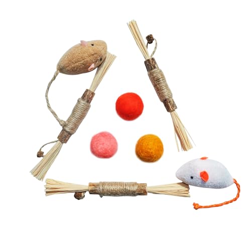 GHOSTCAT L  WZbg lY~ {[ ܂т̖ L̂ lV  LV ʂ VRf ^sEXgX