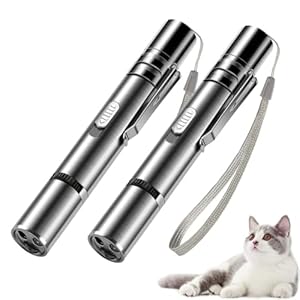 Interaktives Spielzeug f&uuml;r Katzen und Hunde, Katzenspielzeug mit LED, intelligentes elektrisches Katzenspielzeug f&uuml;r Trainings&uuml;bungen, wiederaufladbar &uuml;ber USB (2 St&uuml;ck)