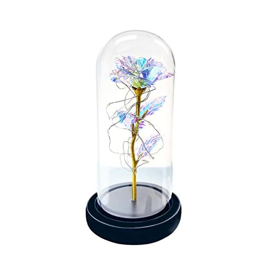 Mikonca Konstgjorda falska rosor blommar i glaskupa med LED-sträng valentin gåva Födelsedag Bröllopsdag Present Romantisk presentuppsättning Heminredning（Med batteri）