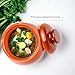 Stoneware Ramekin with Lid 17 fl oz 500 ml Clay Pot for Cooking, Dutch Oven Pot With Lid, Cooking Pot, Earthenware Pot, Stockpot with Lid, Earthenware Rice Pots